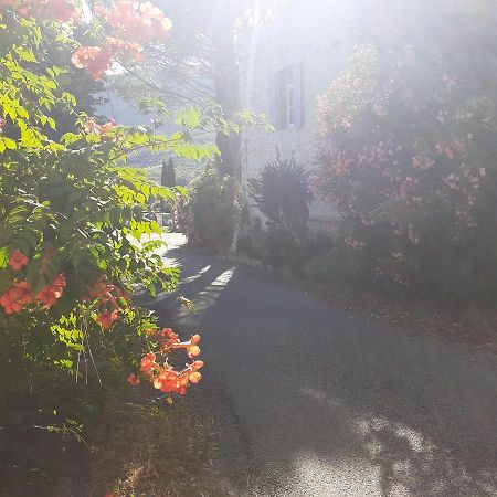 Le Pegue Alma Bella B&B 외부 사진